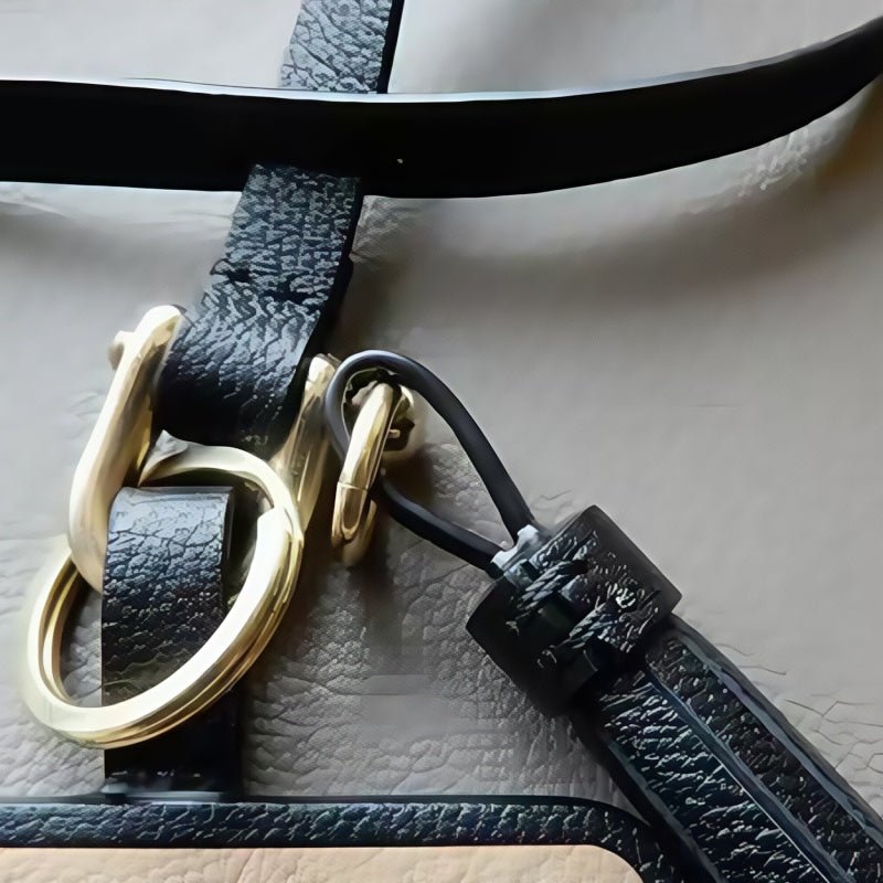 World famous paintings Artistic Charm Luxurious Leather Bag Accessory Handmade Full - Grain French Goatskin - shewearing